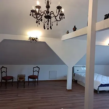 Holiday home Mare In Intimitate Si Liniste Bosorod