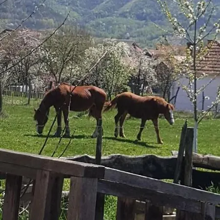 Mare In Intimitate Si Liniste Holiday home