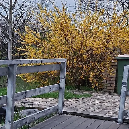 Mare In Intimitate Si Liniste Holiday home Bosorod